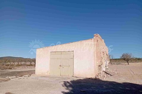 Finca i Caudete, Albacete, Caudete - € 29.995 | Ref: SF0480 - foto 2